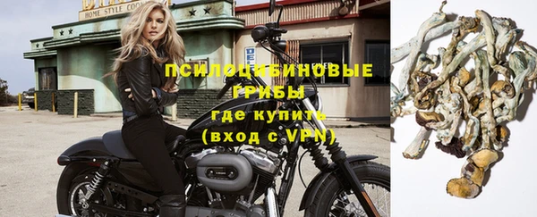 амф Нефтекумск